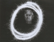 Секреты черно-белой фотографии Издательства: АСТ, Астрель, Харвест, 2007 г Твердый переплет, 128 стр ISBN 978-5-17-046056-4, 978-5-271-17779-8, 0-936262-99-0, 978-985-16-3161-8 Тираж: 3000 экз Формат: 60x90/8 (~220х290 мм) инфо 9427u.