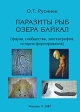 Паразиты рыб озера Байкал (фауна, сообщества, зоогеография, история формирования) Издательство: КМК, 2007 г Твердый переплет, 600 стр ISBN 978-5-87317-371-6 Тираж: 600 экз Формат: 70x100/16 (~167x236 мм) инфо 1000w.