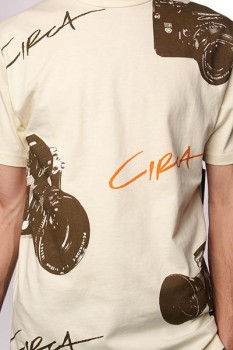 alcatras