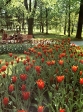 Flora Olomouc Букинистическое издание Сохранность: Хорошая 1973 г Суперобложка, 224 стр Мелованная бумага, Цветные иллюстрации инфо 3448p.